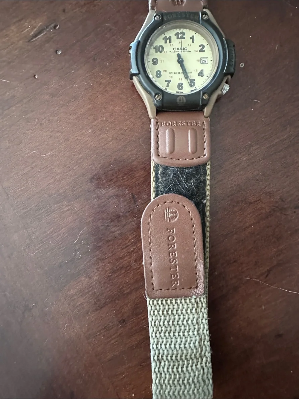 Casio forester watch